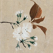 Sakai Hōitsu