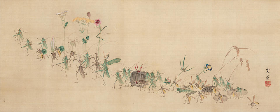 Procession of Insects