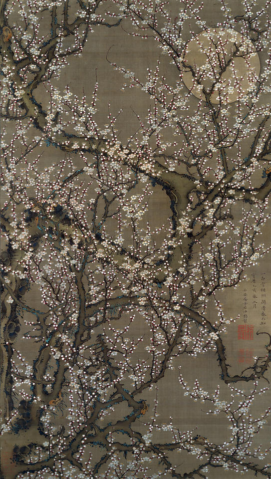 White Plum Blossoms and Moon