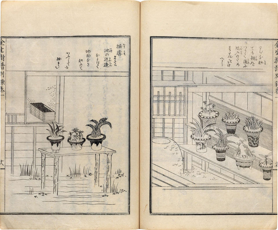 Kinsei jufu (金生樹譜 / Manual on Arboriculture) by Chōseisha Aruji (長生舎主人)