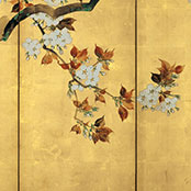 Sakai Hōitsu